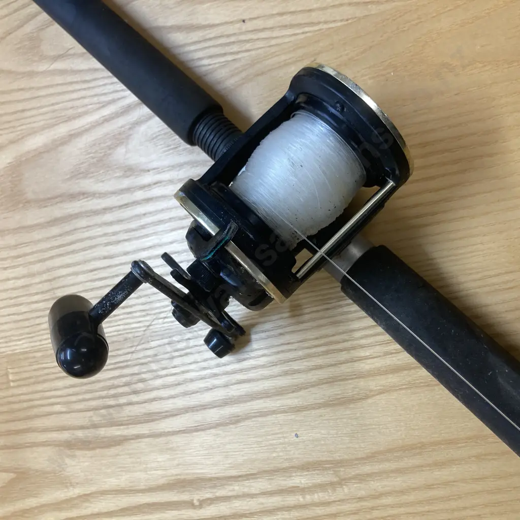 Daiwa Sealine SL50SH Super High Speed Reel & Shimano EF-50 Backbone Series BB 7' 10-15Kg Rod Image 1++